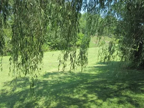 4 Vanderbilt Ct, Flemington, NJ 08822 photo 17
