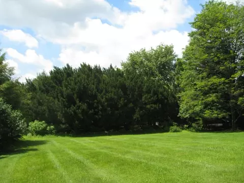 306 5th Ave, Hackettstown, NJ 07840 photo 7