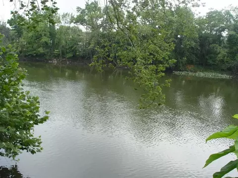 449 Riverside Dr, Wayne, NJ 07470 photo 11