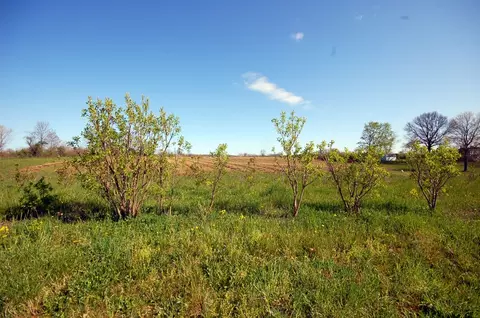 20 Hampton Corner Rd, Ringoes, NJ 08551 photo 21