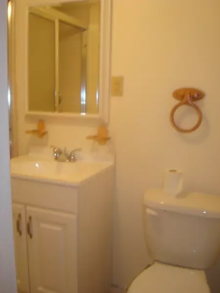 9 Ash Rd, Edison, NJ 08817 photo 9