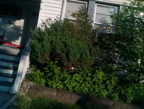 610 E 3rd St, Plainfield, NJ 07060 photo 7