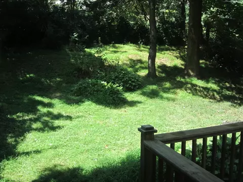 16 Audrey Pl, Dover, NJ 07801 photo 10