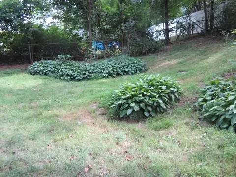 16 Audrey Pl, Dover, NJ 07801 photo 12