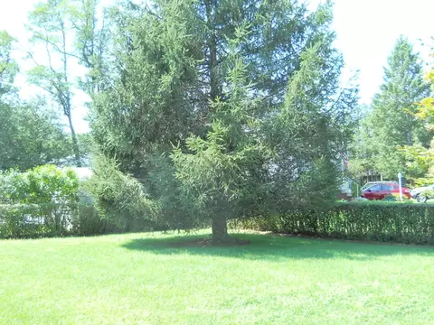 37 Lynn Ave, Middlesex, NJ 08846 photo 16