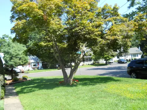 37 Lynn Ave, Middlesex, NJ 08846 photo 17