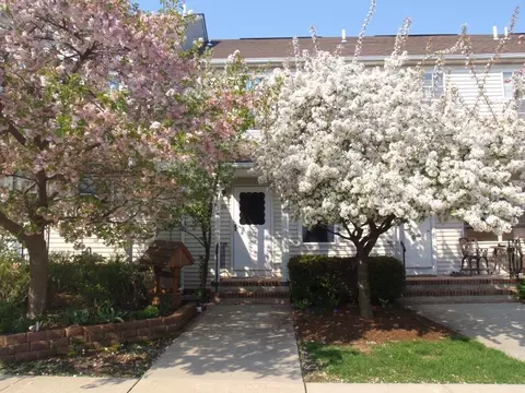 903 Wetherburn Ct, Flemington, NJ 08822 photo 1