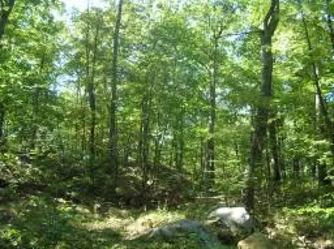 8 Carpenter Rd, Byram Twp, NJ 07874 photo 3