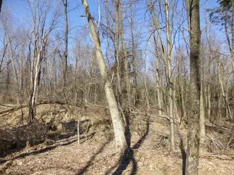 43 Mt Rascal Rd, Independence Twp, NJ 07840 photo 5