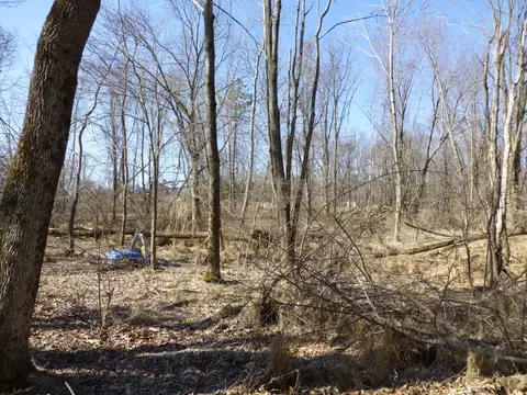 43 Mt Rascal Rd, Independence Twp, NJ 07840 photo 7