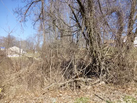 43 Mt Rascal Rd, Independence Twp, NJ 07840 photo 2