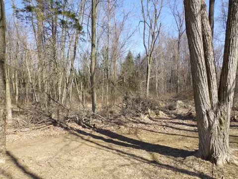 43 Mt Rascal Rd, Independence Twp, NJ 07840 photo 4