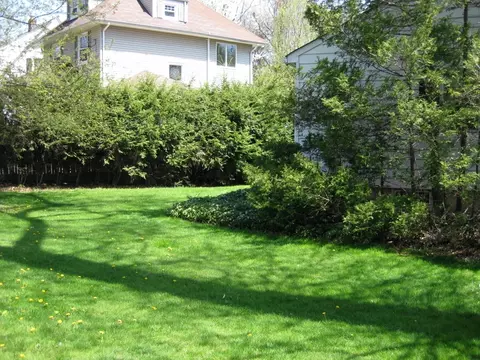 189 Ashland Rd, Summit, NJ 07901 photo 17