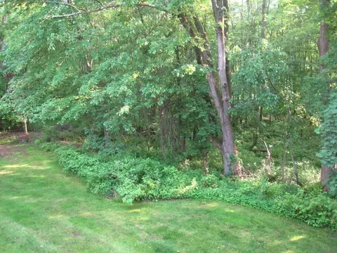 170 Irving Pl, Basking Ridge, NJ 07920 photo 14