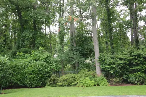 37 Tanglewood Dr, Summit, NJ 07901 photo 24
