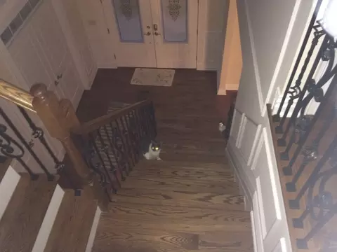 8 Park Pl, Middlesex, NJ 08846 photo 12