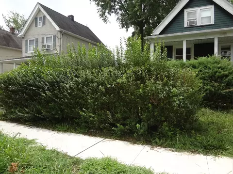 45 Harrison Ave, North Plainfield, NJ 07060 photo 1