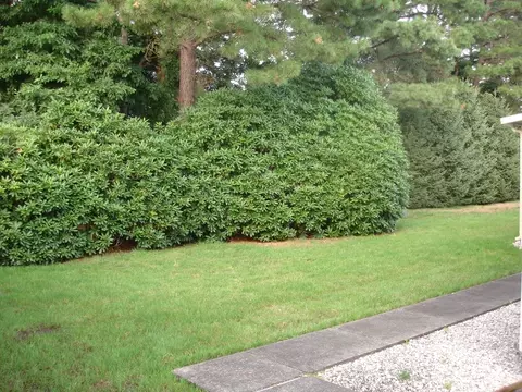 23 Pine Valley Dr, Toms River, NJ 08757 photo 14