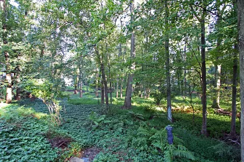 7 Addison Dr, Short Hills, NJ 07078 photo 24