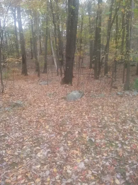 9 Pheasant Run, Kinnelon, NJ 07405 photo 15
