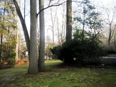 25 Ramsey Dr, Summit, NJ 07901 photo 17