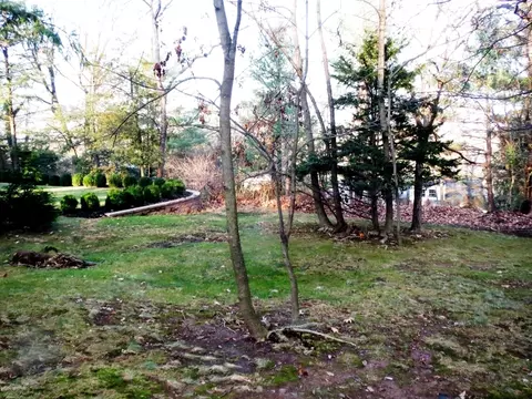 25 Ramsey Dr, Summit, NJ 07901 photo 15