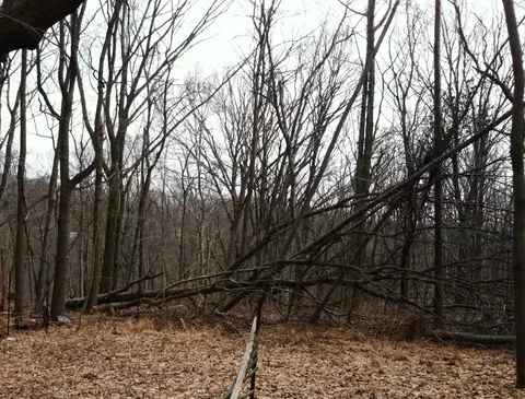 275 Flanders Netcong Rd, Flanders, NJ 07836 photo 2
