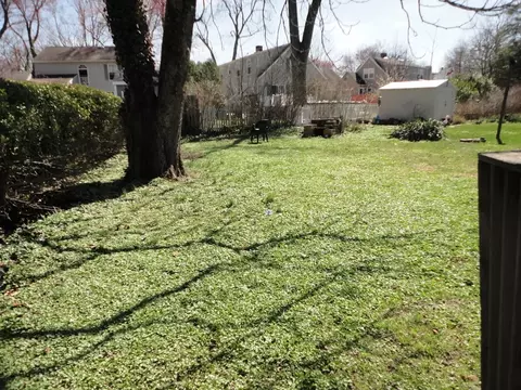 111 Mohawk Dr, Cranford, NJ 07016 photo 3