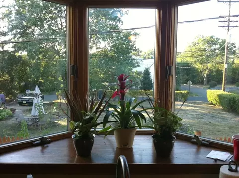 34 Vinal Ave, Edison, NJ 08817 photo 15