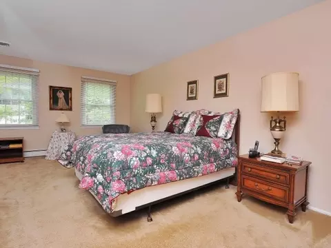 9 Cheryl Rd, Pine Brook, NJ 07058 photo 17