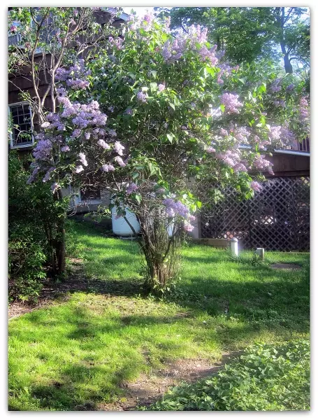 44 Springbrook Trl, Sparta, NJ 07871 photo 12