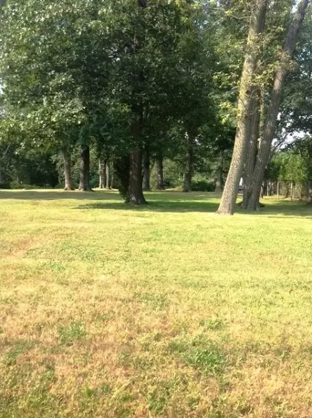 370 Central Ave, Wayne Twp, NJ 07470 photo 5