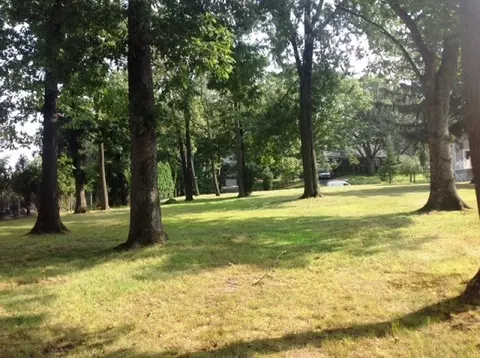 370 Central Ave, Wayne Twp, NJ 07470 photo 2