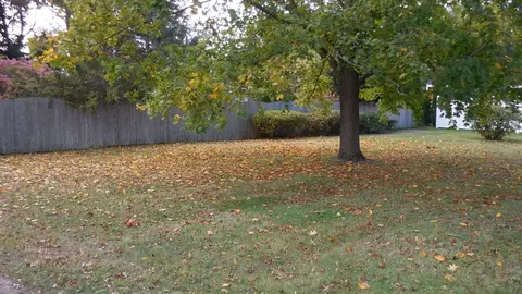 8 Pierrepont Ave, Middlesex, NJ 08846 photo 3