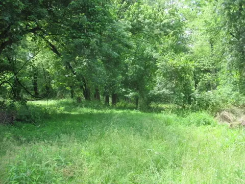 5 Deerpath Rd, Readington Twp, NJ 08822 photo 2