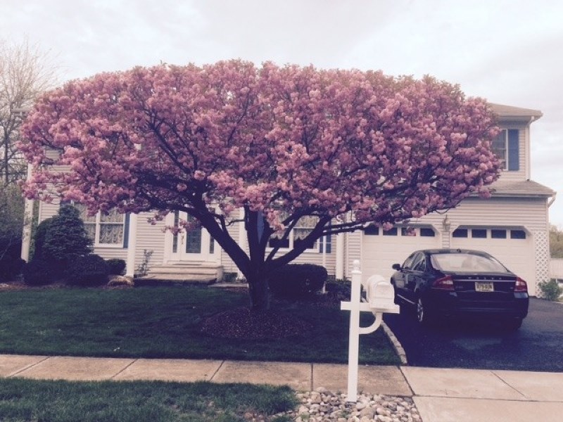 92 Point View Pkwy, Wayne, NJ 07470 photo 1
