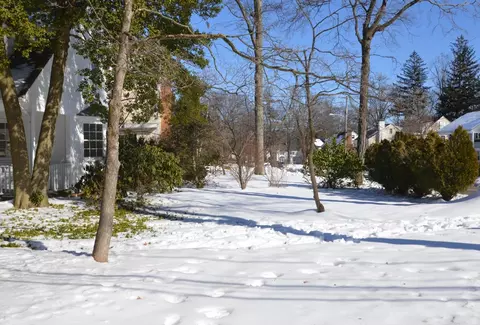 31 Colony Dr, Summit, NJ 07901 photo 16