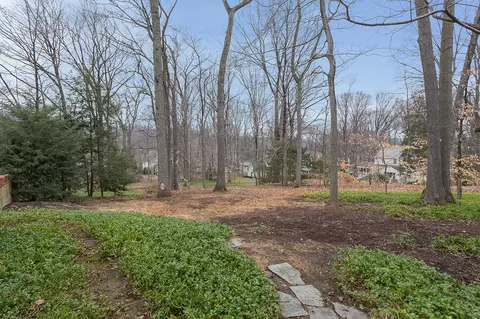 19 Spring Brook Rd, Morristown, NJ 07960 photo 20