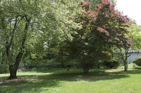 19 Chickadee Rd, Budd Lake, NJ 07828 photo 18