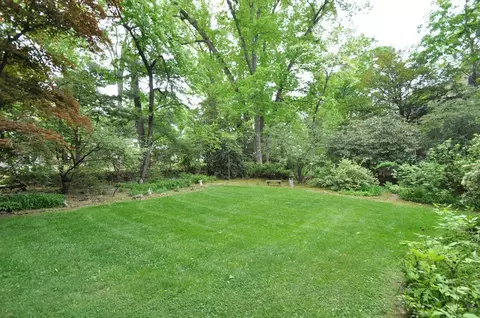75 Pine Grove Ave, Summit, NJ 07901 photo 4