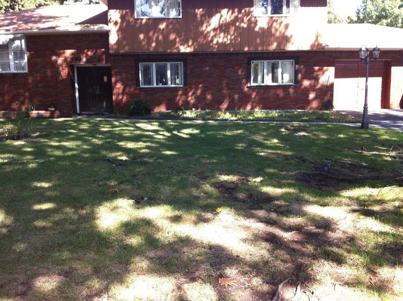 205 Harwood Pl, Paramus, NJ 07652 photo 1