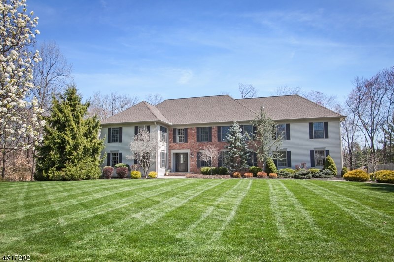 17 Demarest Dr, Mendham, NJ 07945 photo 1