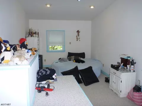 21 Tosch Ave, Wayne, NJ 07470 photo 13