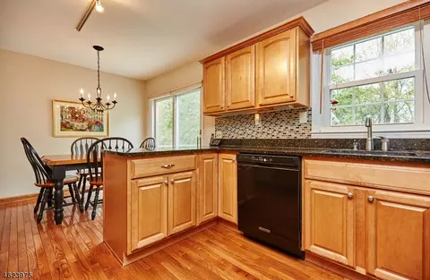 25 Joyce Dr, Succasunna, NJ 07876 photo 5
