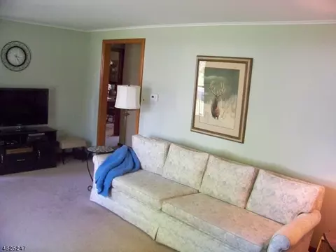 120 E Spring St, Somerville, NJ 08876 photo 8