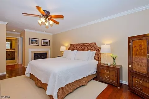 3 Lockhaven Ct, Bedminster, NJ 07921 photo 10