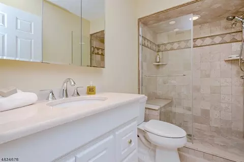 3 Lockhaven Ct, Bedminster, NJ 07921 photo 17