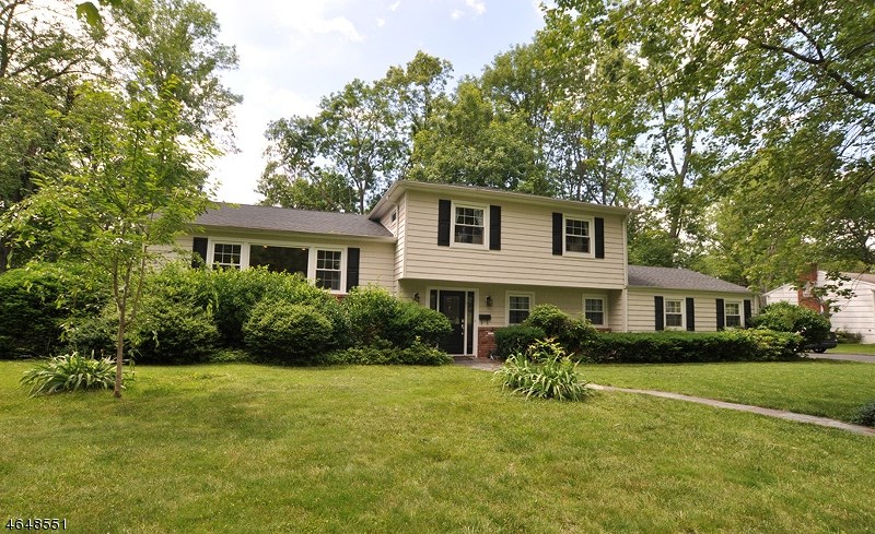 53 Wallace Rd, Summit, NJ 07901 photo 1