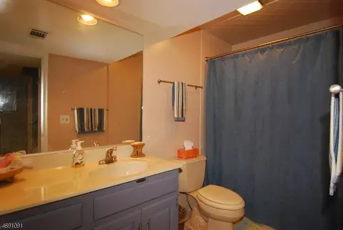 311 Redtail Hawk Ct, Hackettstown, NJ 07840 photo 15
