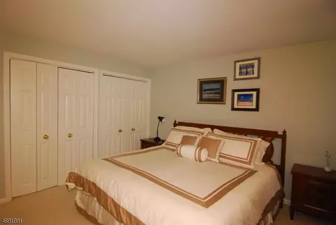 311 Redtail Hawk Ct, Hackettstown, NJ 07840 photo 19